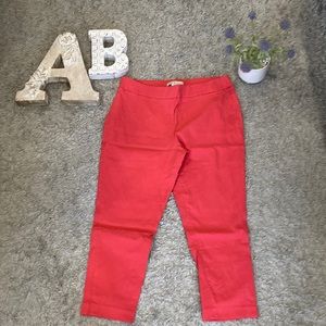 Cleo Petite Womens Chino Pants